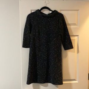 Ann Taylor shift dress. Size 2.